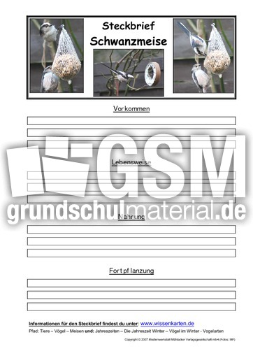 Steckbrief-Schwanzmeise.pdf